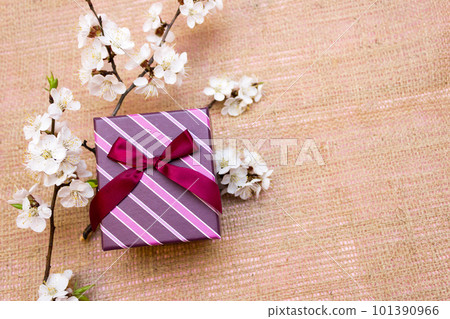 Cherry blossom, spring concept, gift box Cherry blossom, spring concept, gift box 101390966