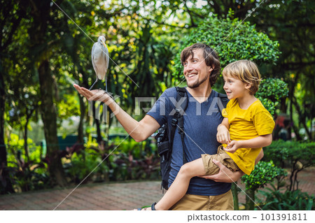 Father and son feeding ibes in the park. Little Egret Cattle egret Bubulcus ibis Waters Edge. Family spends time in the park together 101391811