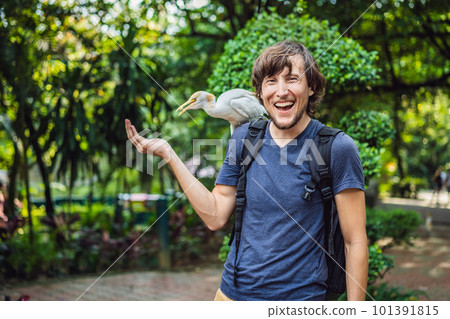 Young man feeding ibes in the park. Little Egret Cattle egret Bubulcus ibis Waters Edge 101391815