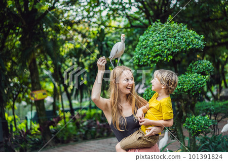 Mother and son feeding ibes in the park. Little Egret Cattle egret Bubulcus ibis Waters Edge. Family spends time in the park together 101391824