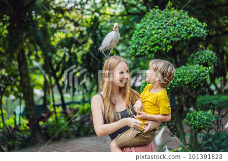 Mother and son feeding ibes in the park. Little Egret Cattle egret Bubulcus ibis Waters Edge. Family spends time in the park together 101391828