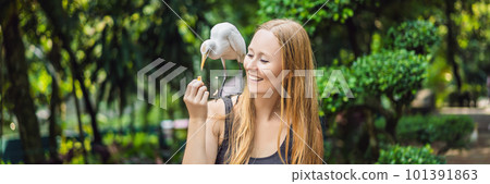 Young woman feeding ibes in the park. Little Egret Cattle egret Bubulcus ibis Waters Edge BANNER, LONG FORMAT 101391863