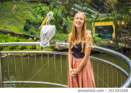 A young woman is photographed with a pelican. Great white pelican also known as the eastern white pelican, rosy or white pelican Pelecanus onocrotalus A young woman is photographed with a pelican. Great white pelican also known as the eastern white pelican, rosy or white pelican Pelecanus onocrotalus 101391898