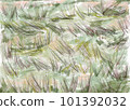 Painting. Autumn grass on a green field. Lines and spots. Digital background image with natural colors  101392032