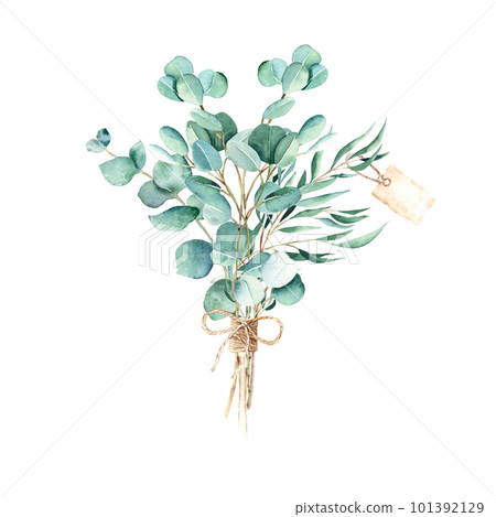 Eucalyptus watercolor bouquet. Willow, silver dollar and true blue branches with jute cord bow and vintage paper tag. Hand drawn botanical illustration isolated on white background. Can be used for Eucalyptus watercolor bouquet. Willow, silver dollar and true blue branches with jute cord bow and vintage paper tag. Hand drawn botanical illustration isolated on white background. Can be used for 101392129