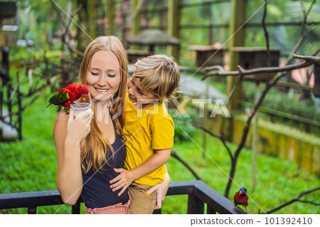 Mom and son feed the parrot in the park. Spending time with kids concept 101392410