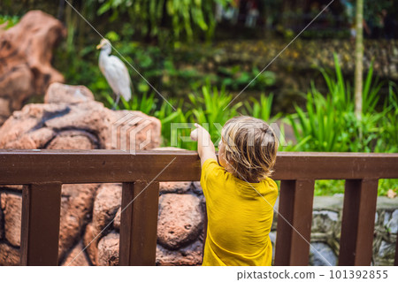 Boy in the birds park. Weekend with kids, fun Boy in the birds park. Weekend with kids, fun 101392855
