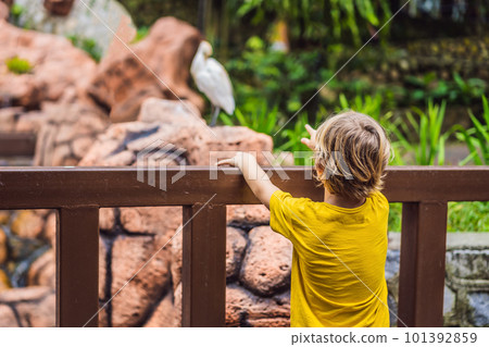 Boy in the birds park. Weekend with kids, fun Boy in the birds park. Weekend with kids, fun 101392859