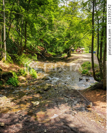 brook in the woods. outdoor nature scenery. sunny weather 101393142