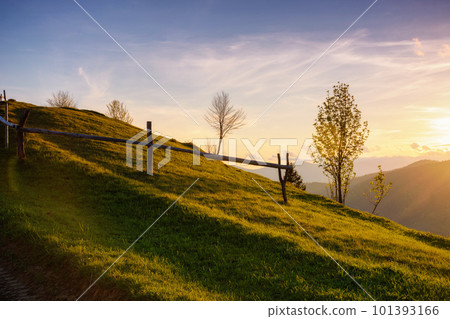 landscape with tree on the hill at sunset. summer scenery of mountainous carpathian countryside landscape with tree on the hill at sunset. summer scenery of mountainous carpathian countryside 101393166