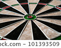 The new classic professional sisal dart target. Close-up, angle view. 101393509