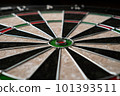 The new classic professional sisal dart target. Close-up, angle view. 101393511