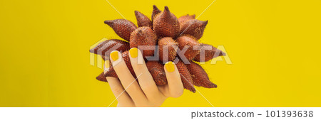 Hand with a yellow manicure holding a ripe salak on a yellow background BANNER, LONG FORMAT 101393638