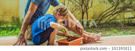 Father and son gardening in the garden near the house BANNER, LONG FORMAT 101393811