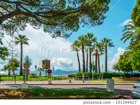 Fantastic park in left part of Croisette with pine trees and palm trees in Cannes . Cars in parking lot Fantastic park in left part of Croisette with pine trees and palm trees in Cannes . Cars in parking lot 101394027