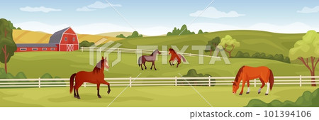 Equine farm landscape. Equestrian ranch stable yard running horses, horse eating grass on summer field, purebred stallion pasture panoramic background ingenious vector illustration 101394106