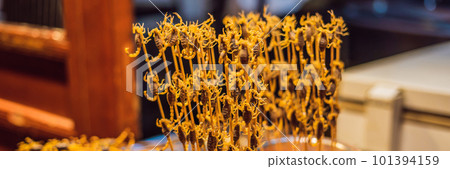 Fried scorpions in Wangfujing night market of Beijing, China BANNER, LONG FORMAT Fried scorpions in Wangfujing night market of Beijing, China BANNER, LONG FORMAT 101394159