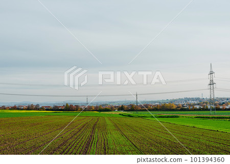Beautiful autumn field with grass and wildflowers on background of electricity tower with power lines in sunset sky. Wild grass and herbs in fall meadow in evening sunlight. Tranquility 101394360
