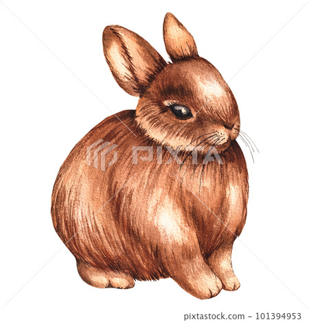 Watercolor brown rabbit on a white background Watercolor brown rabbit on a white background 101394953