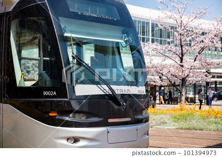 [Toyama Chihou Railway] Scenery in front of Toyama Station with cherry blossoms blooming 101394973