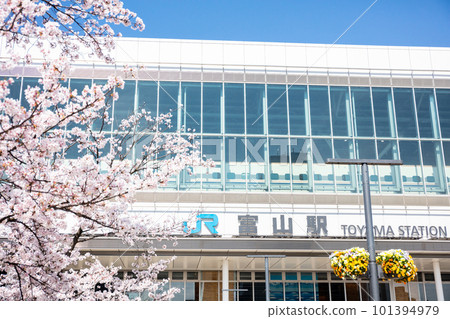 [Toyama Chihou Railway] Cherry blossoms bloom at Toyama Station 101394979