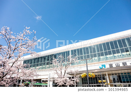 [Toyama Chihou Railway] Scenery in front of Toyama Station with cherry blossoms blooming 101394985