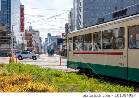 [Toyama Chihou Railway] Scenery in front of Toyama Station with cherry blossoms blooming 101394987