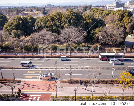[Japan] Cars and a forest park on the main road seen from the roof of a building in Tachikawa, Tokyo 101395254
