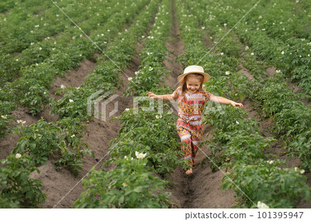 A funny laughing barefoot girl in a hat walks with her arms outstretched between rows of growing potatoes. Farmland with flowering plants A funny laughing barefoot girl in a hat walks with her arms outstretched between rows of growing potatoes. Farmland with flowering plants 101395947