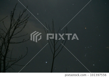 Hakushu-cho, Hokuto City, the Orion constellation in winter between the withered branches 101397556