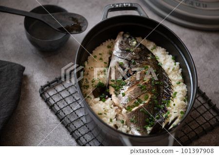 鯛魚 鯛魚 101397908