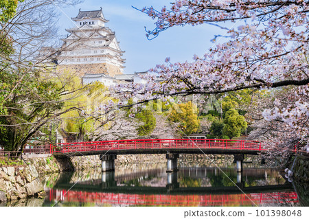 春天的姬路城 Shiromi Bridge and Main Keep 春天的姬路城 Shiromi Bridge and Main Keep 101398048