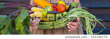 Eco-friendly concept with organic farm vegetables in girl's hands. cauliflower, green beans, zucchini, corn, beets. Farm measured life in nature Eco-friendly concept with organic farm vegetables in girl's hands. cauliflower, green beans, zucchini, corn, beets. Farm measured life in nature 101398170