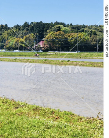 農村水稻種植景觀 農村水稻種植景觀 101400886