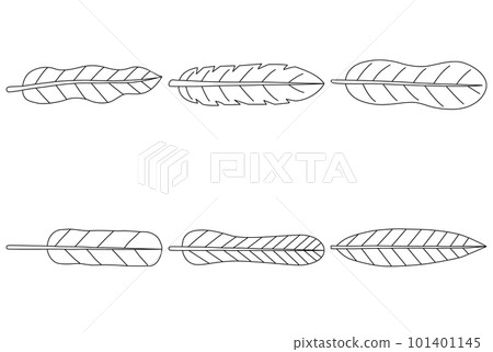 Leaves hand drawn vector set 101401145