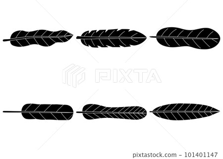 Leaves hand drawn vector set 101401147