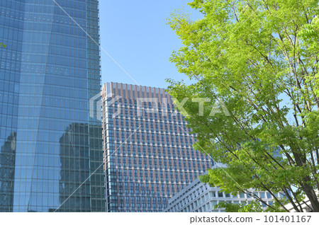 Fresh greenery and office buildings around Tokyo Station 101401167