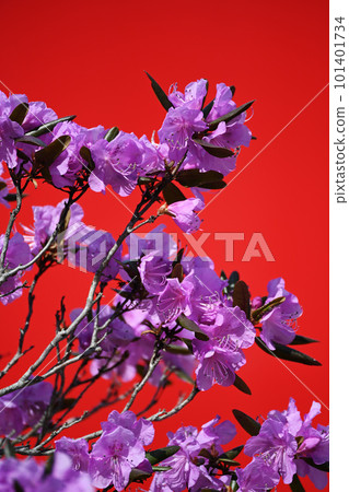 The background is the back of the vending machine The background is the back of the vending machine 101401734