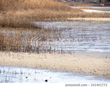 Wajiro tidal flat (the tidal flat that spreads out at the back of Hakata Bay). Higashi Ward, Fukuoka City. Wajiro tidal flat (the tidal flat that spreads out at the back of Hakata Bay). Higashi Ward, Fukuoka City. 101401772