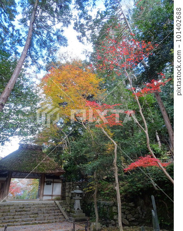 京都秋葉上的法輪院 101402688