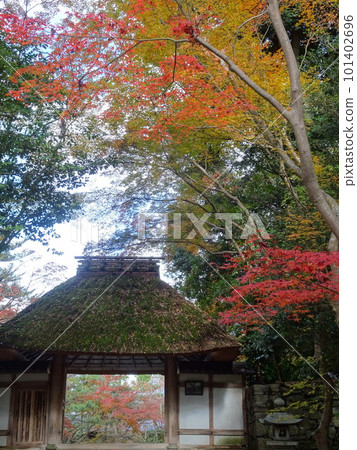 Honen-in Temple over the autumn leaves in Kyoto 101402696