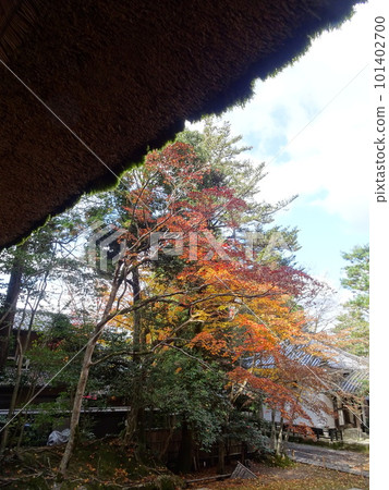 京都秋葉上的法輪院 101402700