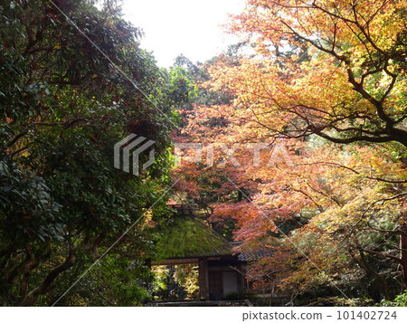 京都秋葉上的法輪院 京都秋葉上的法輪院 101402724