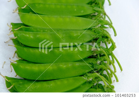 Silk pods Silk pods 101403253