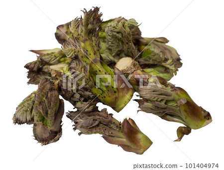 收穫的春季山菜圖像素材,白背鱈魚苗 收穫的春季山菜圖像素材,白背鱈魚苗 101404974