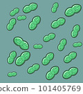 Cyanobacteria: Synechococcus 101405769