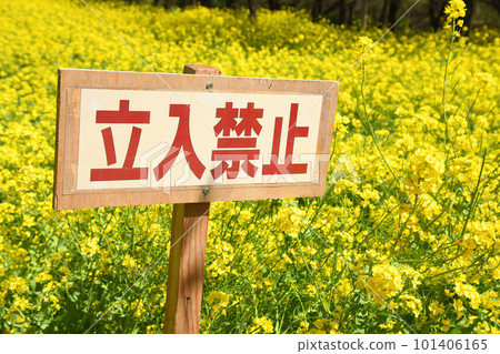 油菜花中的禁止侵入標誌 101406165