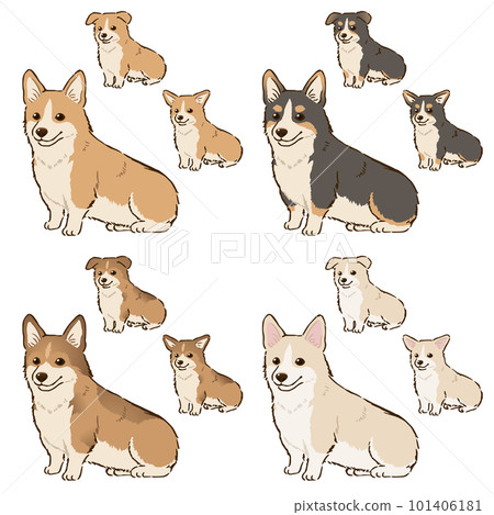 Corgi of various colors (tail docked) Corgi of various colors (tail docked) 101406181