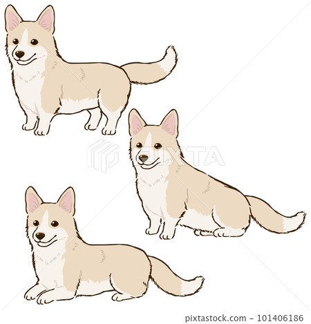 各種姿勢的柯基犬(淺褐色) 各種姿勢的柯基犬(淺褐色) 101406186
