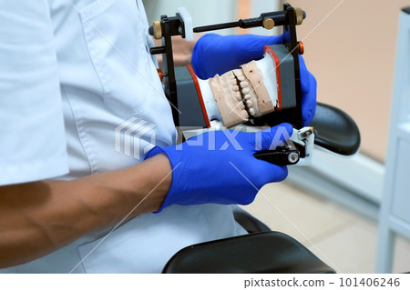 Orthodontist is working with jaw mold in dental facebow process of prosthetics. Orthodontist is working with jaw mold in dental facebow process of prosthetics. 101406246